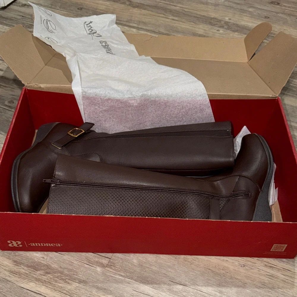 ANDREA FENZI Chocolate Brown Tall Riding Boots with Buckle